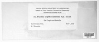 Image Associated With the Occurence